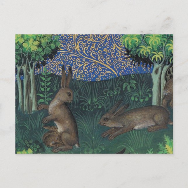 Cartão postal de ilustração vintage (Frente)