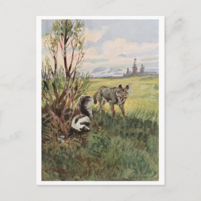 Cartão postal de ilustração vintage (Frente)