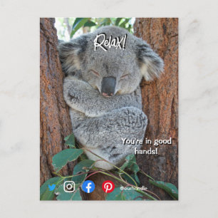 cartão postal de imóveis engraçado relaxado koala