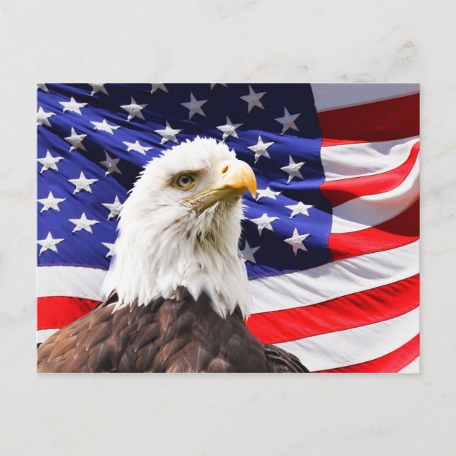 cartão postal de independência americano (Frente)