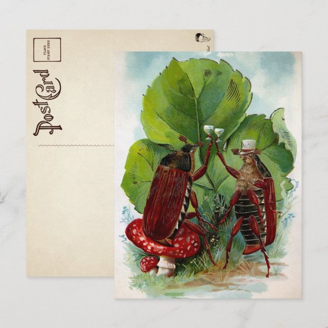 Cartão postal de Insetos Bebendos vitorianos (Frente/Verso)