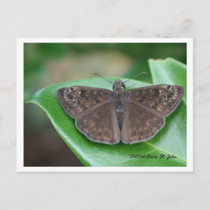 Cartão postal de intenções mensais