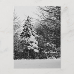 Cartão postal de inverno