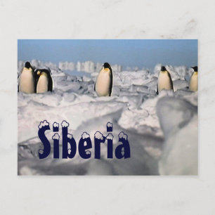 Cartão postal de inverno do Ártico da Sibéria