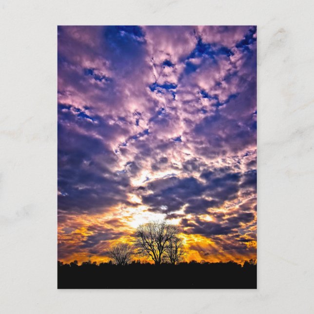 Cartão postal de inverno sunset (Frente)