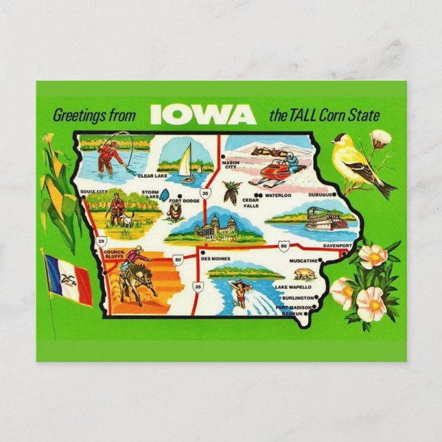 Cartão postal de Iowa - Tall Corn State (Frente)