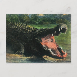 Cartão postal de jacaré comilão faminto