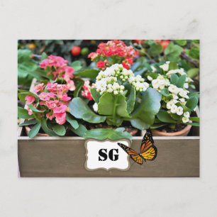 Cartão Postal de Jardim de Flores em Recipiente co