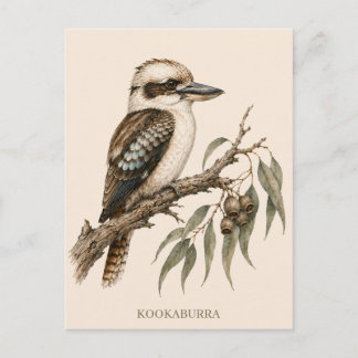Cartão Postal de Kookaburra | Edição Bush