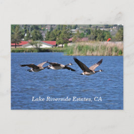 Cartão postal de Lake Riverside Estates, CA