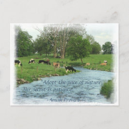 Cartão postal de Lancaster Amish! Amish Proverb! V