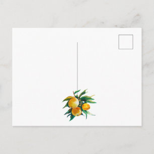 Cartão postal de laranjas e flores