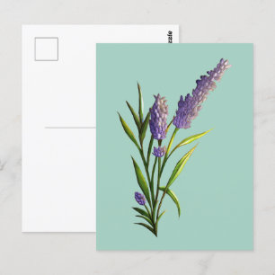 Cartão postal de lavanda
