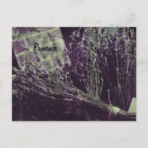 cartão postal de lavanda da provença