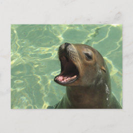 Cartão postal de Leão de Chatty Sea