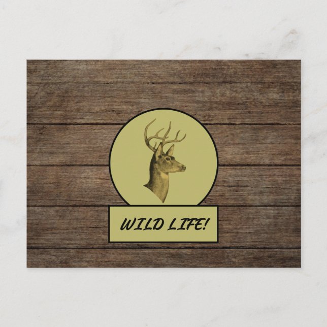 Cartão postal de madeira escura Buck Head (Frente)