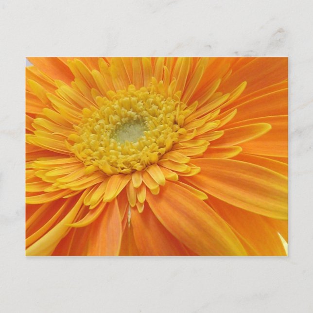 Cartão Postal De mãe (Frente)