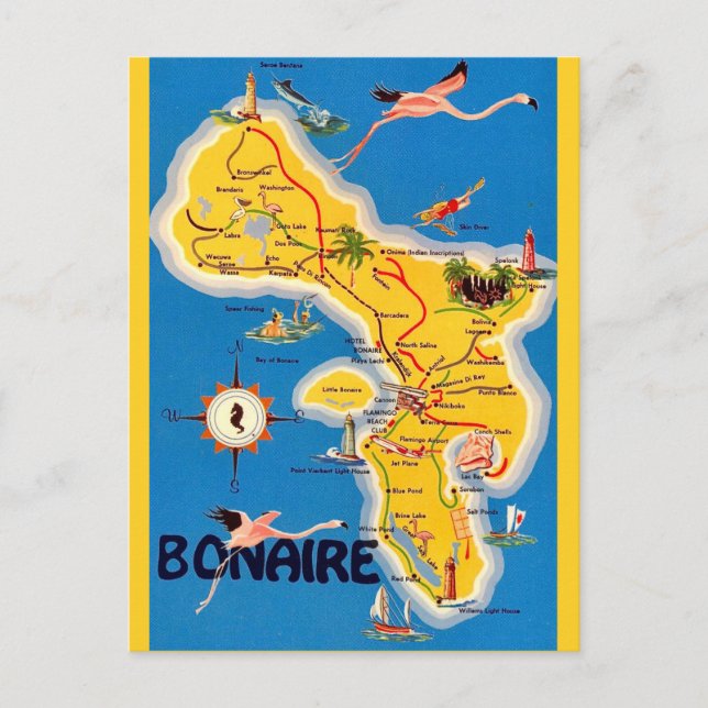 Cartão postal de mapa ilustrado de Bonaire vintage (Frente)