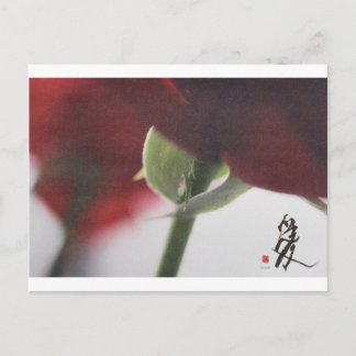 cartão postal de meitokai 7