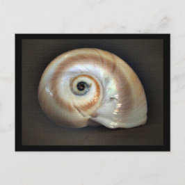 Cartão postal de memória em praia