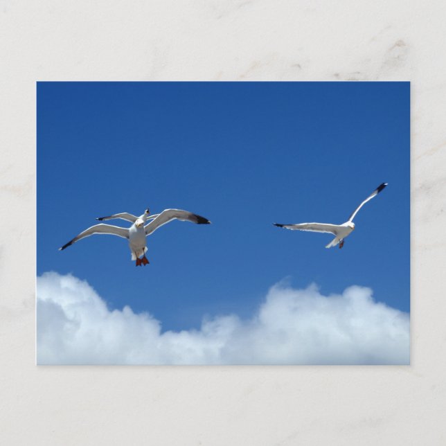 Cartão postal de Mestrados eólicos (Frente)