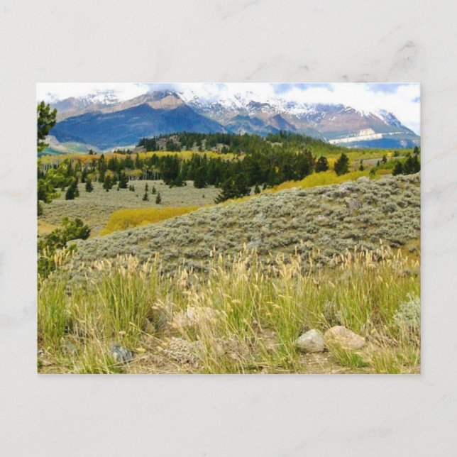 Cartão postal de Montana (Frente)