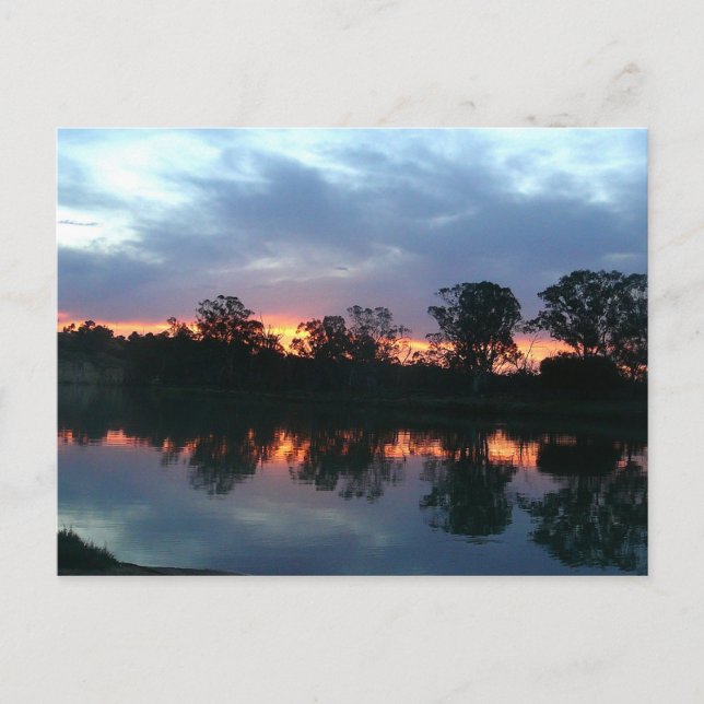 Cartão postal de Murray River Sunset (Frente)