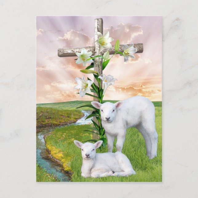 Cartão postal de nascente páscoa (Frente)