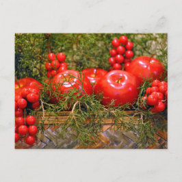 Cartão postal de Natal