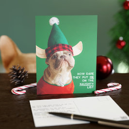 Cartão postal de Natal de Pet Engraçado