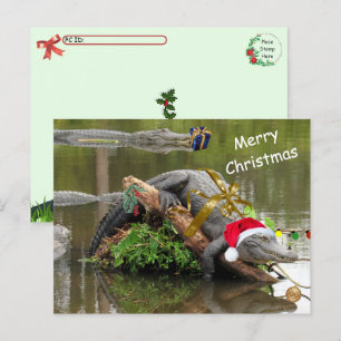 Cartão postal de Natal do Alligador Americano