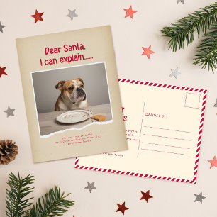Cartão postal de Natal engraçado da família do ani