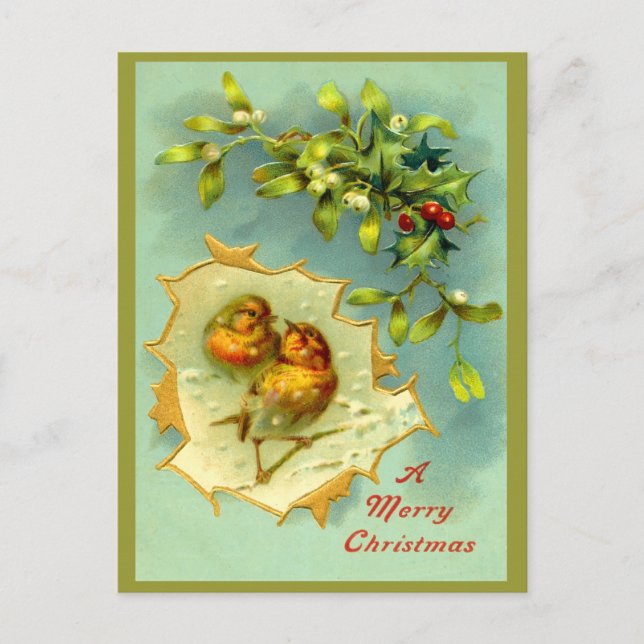 Cartão postal de Natal para as aves de inverno da  (Frente)