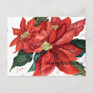 Cartão postal de Natal Poinsettia