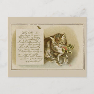 Cartão postal de Natal Vintage Kitten