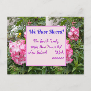 Cartão postal de novo endereço de flor rosa, estam