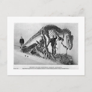 Cartão postal de obras do esqueleto Allosaurus
