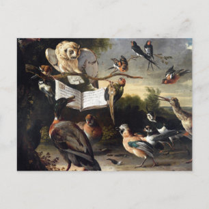 Cartão Postal De Onde Vêm os Cantos das Aves