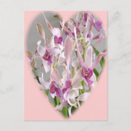 cartão postal de orquídea
