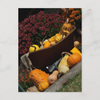 Cartão postal de outono