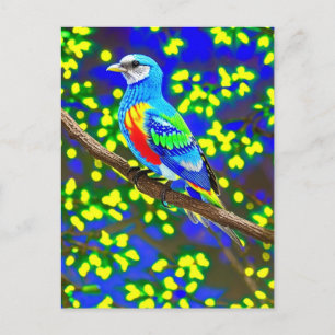 Cartão postal de pássaro colorido