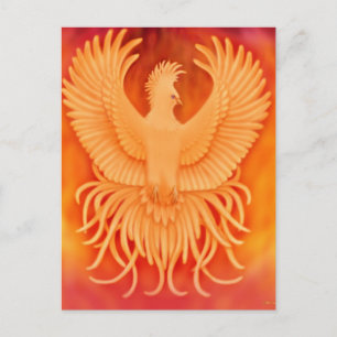 Cartão postal de pássaro Phoenix