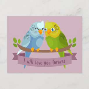 Cartão postal de Pássaros de Amor