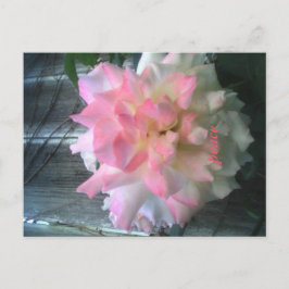 cartão postal de paz