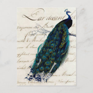 Cartão postal de Peacock do Script Francês Vintage