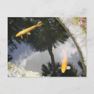 Cartão postal de peixe