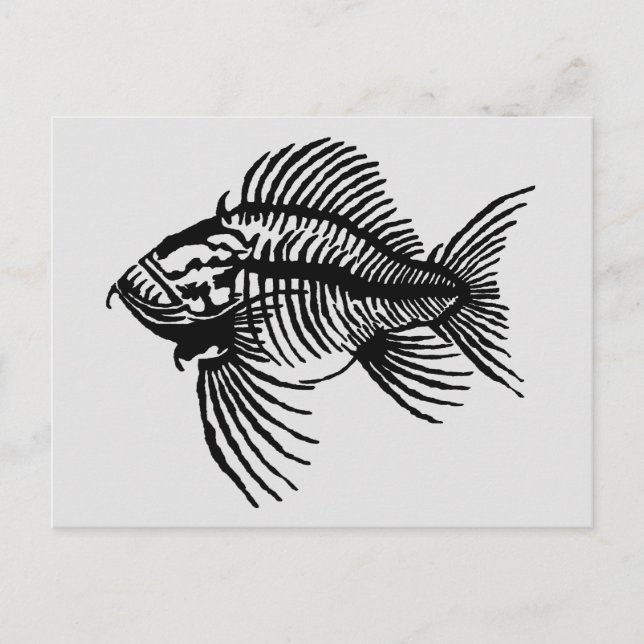 Cartão Postal de Peixe Fóssil (Frente)