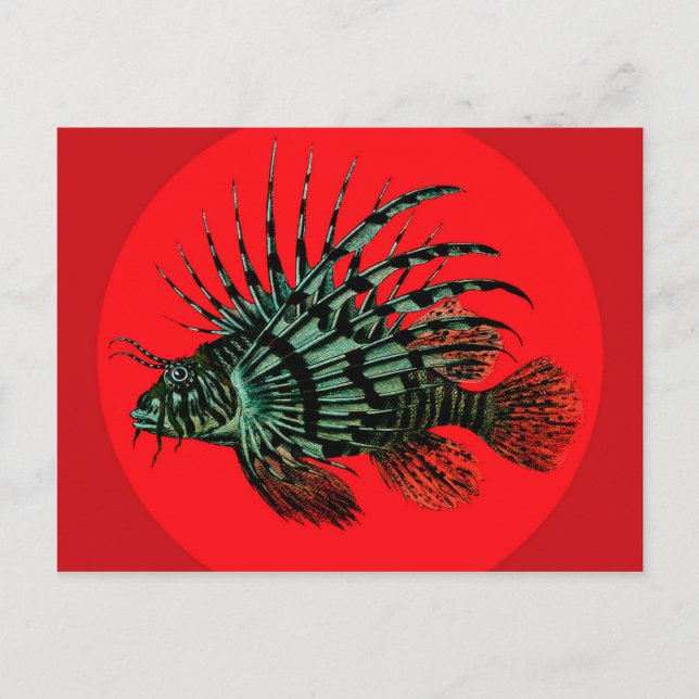 Cartão postal de peixe-leão (Frente)
