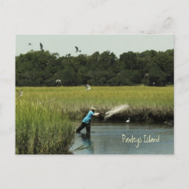 Cartão postal de pesca da ilha Pawleys