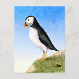 Cartão Postal de Pintura em Aquarela de Puffin
